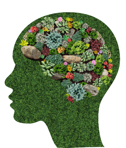 Crandon Partners Branded Brain